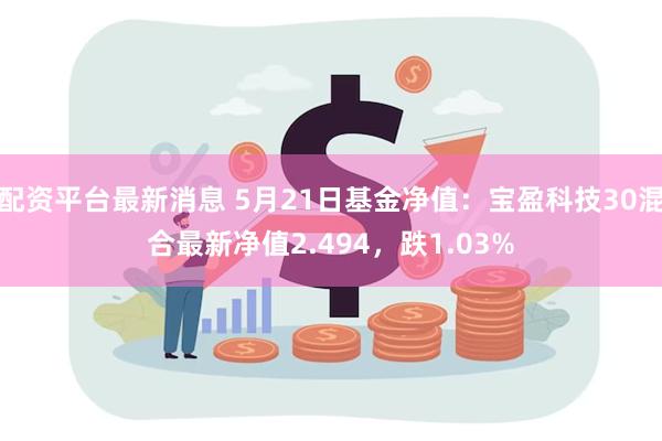 配资平台最新消息 5月21日基金净值：宝盈科技30混合最新净值2.494，跌1.03%