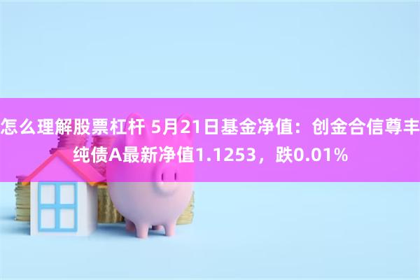 怎么理解股票杠杆 5月21日基金净值：创金合信尊丰纯债A最新净值1.1253，跌0.01%