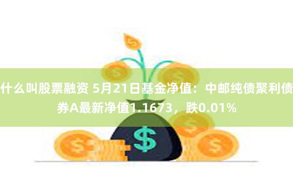 什么叫股票融资 5月21日基金净值：中邮纯债聚利债券A最新净值1.1673，跌0.01%