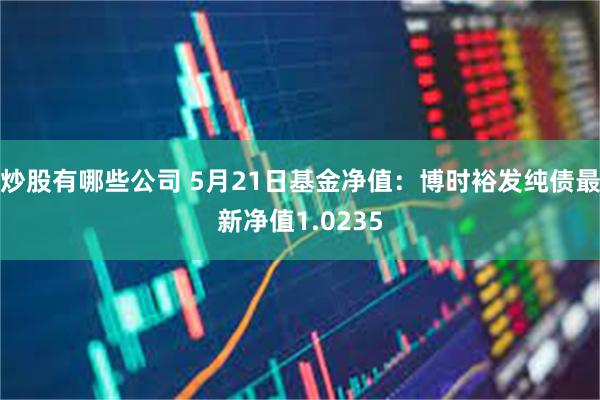 炒股有哪些公司 5月21日基金净值：博时裕发纯债最新净值1.0235