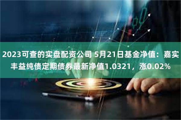 2023可查的实盘配资公司 5月21日基金净值：嘉实丰益纯债定期债券最新净值1.0321，涨0.02%