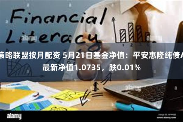 策略联盟按月配资 5月21日基金净值：平安惠隆纯债A最新净值1.0735，跌0.01%