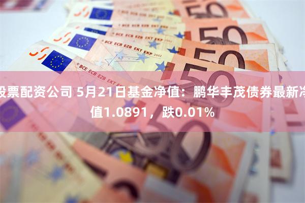 股票配资公司 5月21日基金净值：鹏华丰茂债券最新净值1.0891，跌0.01%