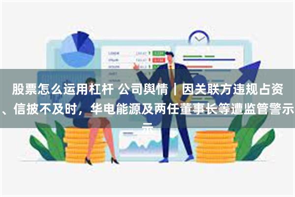 股票怎么运用杠杆 公司舆情｜因关联方违规占资、信披不及时，华电能源及两任董事长等遭监管警示