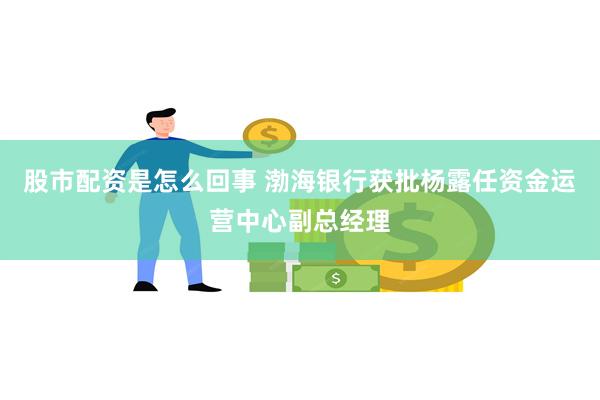 股市配资是怎么回事 渤海银行获批杨露任资金运营中心副总经理