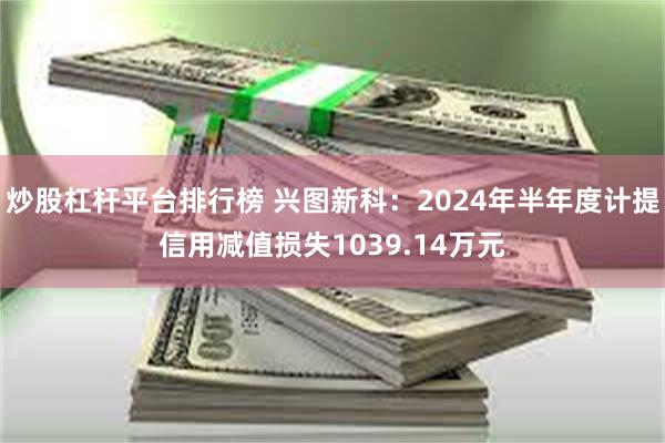 炒股杠杆平台排行榜 兴图新科：2024年半年度计提信用减值损失1039.14万元