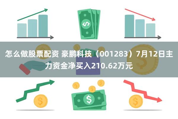 怎么做股票配资 豪鹏科技（001283）7月12日主力资金净买入210.62万元