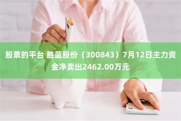 股票的平台 胜蓝股份（300843）7月12日主力资金净卖出2462.00万元