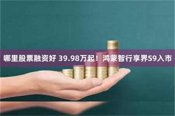 哪里股票融资好 39.98万起！鸿蒙智行享界S9入市