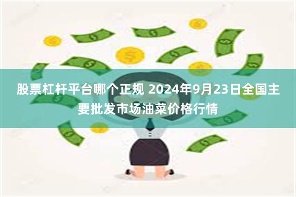 股票杠杆平台哪个正规 2024年9月23日全国主要批发市场油菜价格行情