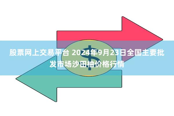 股票网上交易平台 2024年9月23日全国主要批发市场沙田柚价格行情